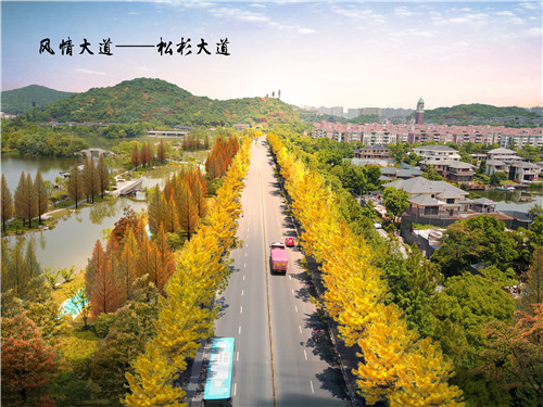 園冶杯專業(yè)獎(jiǎng)：湘湖度假區(qū)景觀提升工程