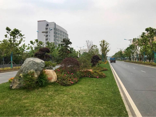 園冶杯專業獎：廬陽工業區天水路、凌湖路綠化施工
