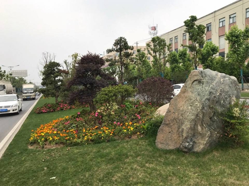 園冶杯專業獎：廬陽工業區天水路、凌湖路綠化施工