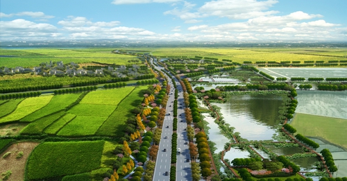 園冶杯專業(yè)獎(jiǎng)：店忠路（新合馬路至環(huán)巢湖大道段）改建工程景觀設(shè)計(jì)