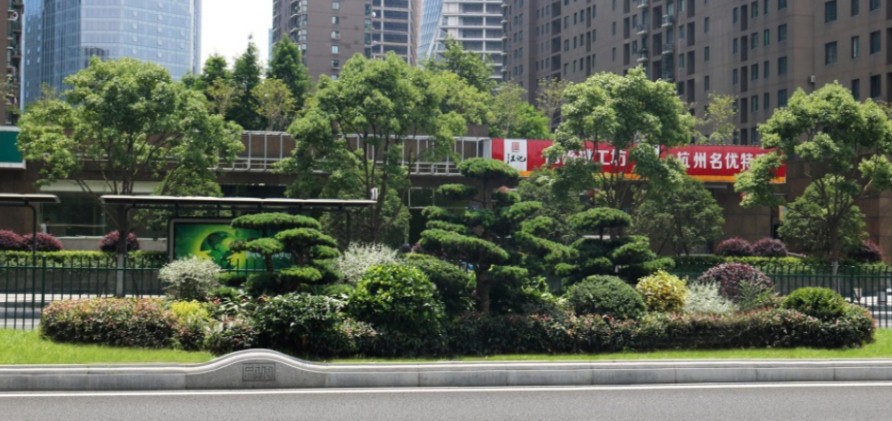園冶杯專業獎：新塘路（新風路-新業路）綜合整治工程景觀綠化Ⅰ標段
