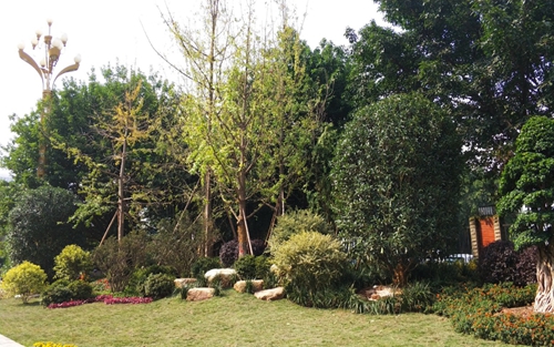 園冶杯專業(yè)獎(jiǎng)：資陽市嬌子大道綜合整治建設(shè)工程-節(jié)點(diǎn)景觀提升