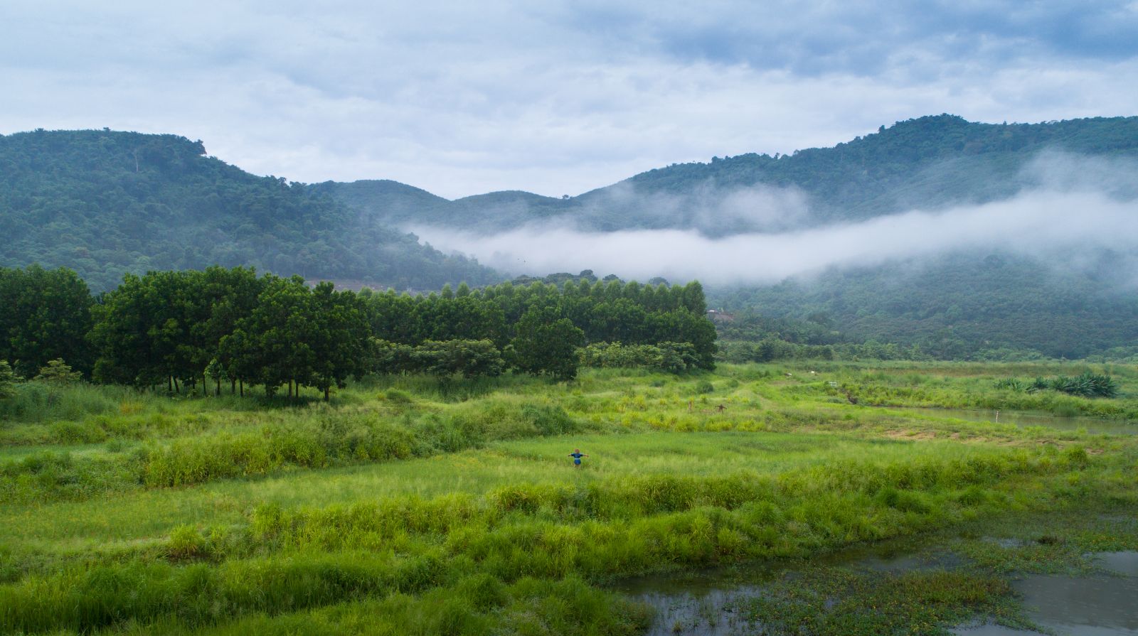 園冶杯專業(yè)獎(jiǎng)：泰國(guó)Wangchan森林