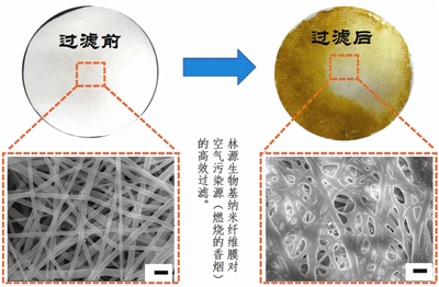 南林人專注農林剩余物回收利用