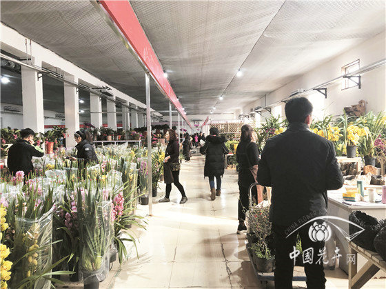 北京花卉市場疏解搬遷現(xiàn)狀調(diào)查