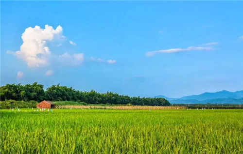都市圈時(shí)代來(lái)了，鄉(xiāng)村振興的重大利好消息！