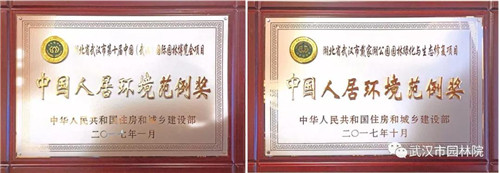 武漢園林設(shè)計(jì)院2019崗位已備好，“職”等你來選