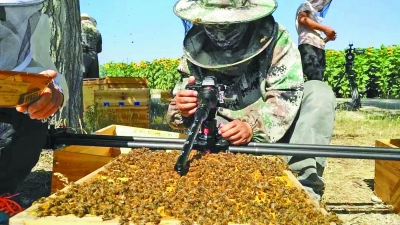 改變世界的中國植物