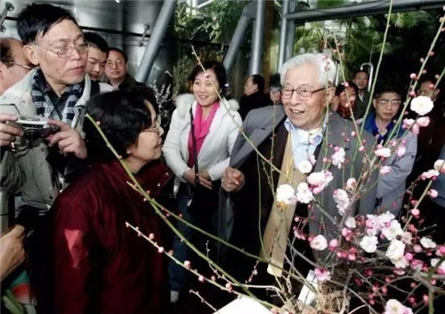 這一次，牡丹能當上中國的國花嗎？