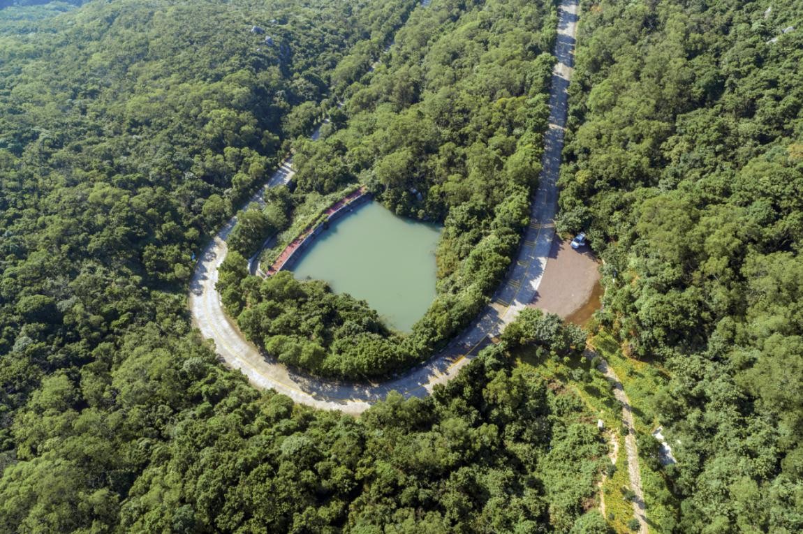 2019園冶杯專業(yè)獎(jiǎng)丨廣東南澳海島國(guó)家森林公園總體規(guī)劃