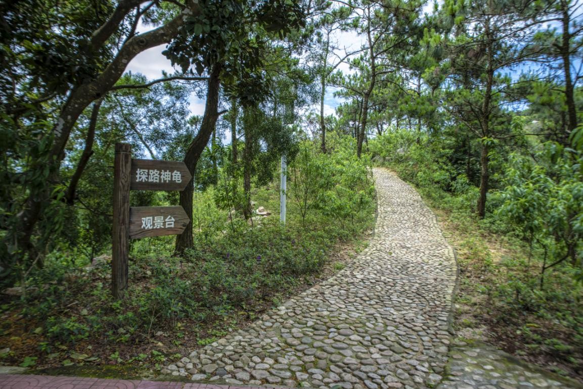 2019園冶杯專業(yè)獎(jiǎng)丨廣東南澳海島國(guó)家森林公園總體規(guī)劃
