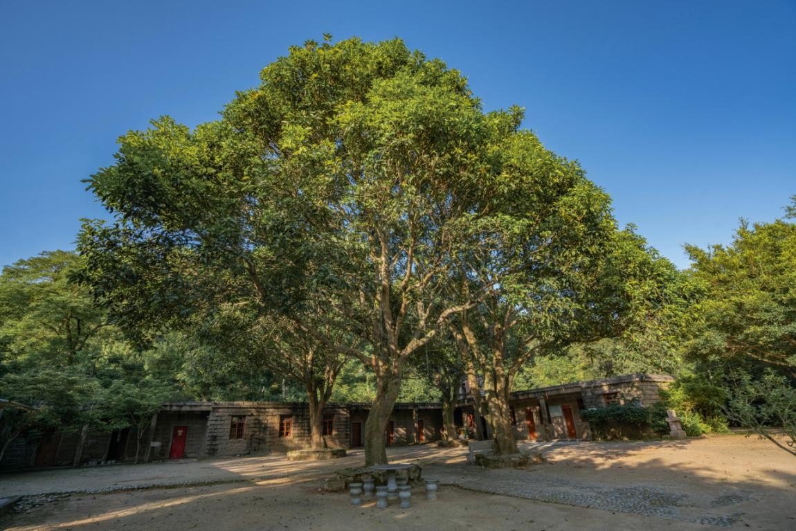2019園冶杯專業(yè)獎(jiǎng)丨廣東南澳海島國(guó)家森林公園總體規(guī)劃