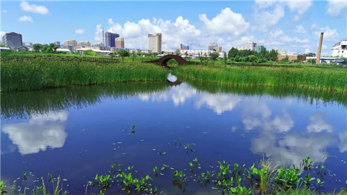 2019園冶杯專業(yè)獎丨樺南幸福濕地公園景觀設(shè)計(jì)