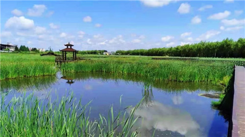 2019園冶杯專業(yè)獎丨樺南幸福濕地公園景觀設(shè)計(jì)