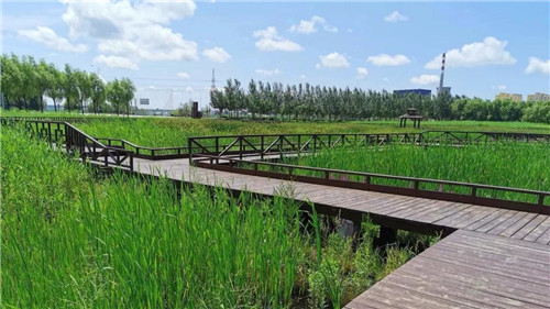 2019園冶杯專業(yè)獎丨樺南幸福濕地公園景觀設(shè)計(jì)