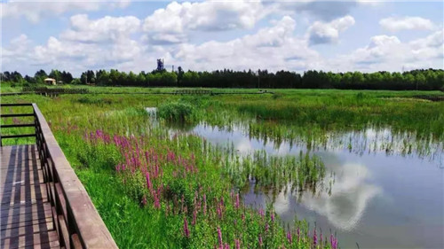 2019園冶杯專業(yè)獎丨樺南幸福濕地公園景觀設(shè)計(jì)