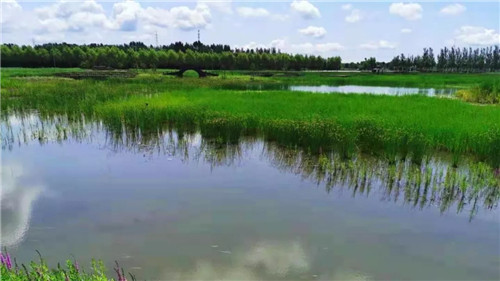 2019園冶杯專業(yè)獎丨樺南幸福濕地公園景觀設(shè)計(jì)