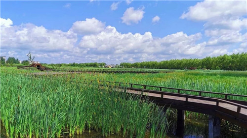 2019園冶杯專業(yè)獎丨樺南幸福濕地公園景觀設(shè)計(jì)