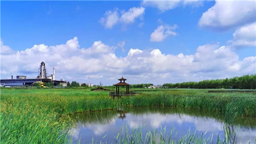2019園冶杯專業(yè)獎丨樺南幸福濕地公園景觀設(shè)計(jì)