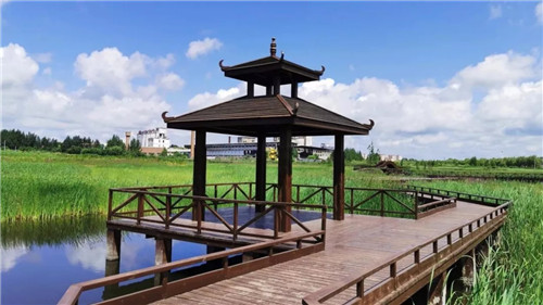 2019園冶杯專業(yè)獎丨樺南幸福濕地公園景觀設(shè)計(jì)