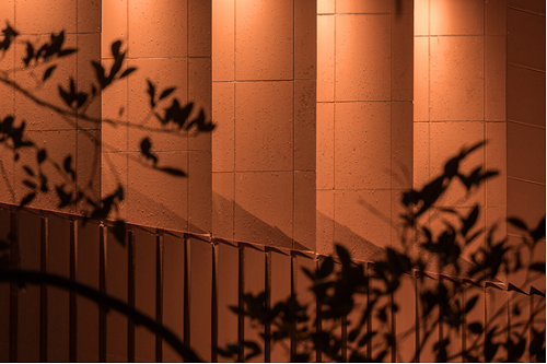 2019園冶杯專業(yè)獎丨萬科上海寶山啟宸