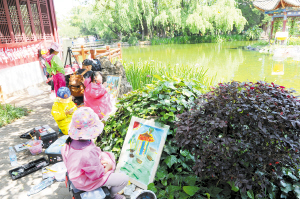 昆明：公園小水景藏著“大乾坤”