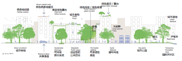 Justin Abbott：水設計——通過整合藍、綠、灰色基礎設施提高城市韌性