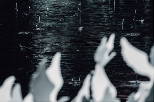 2019園冶杯專業(yè)獎丨萬科上海寶山啟宸