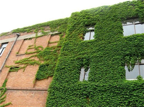 集一切可用節能措施于一身，這座建筑讓空調下崗？