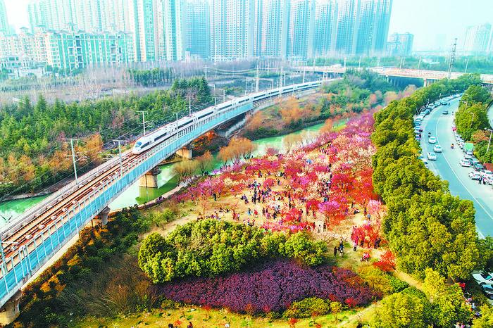 合肥：從首座人民公園 到國家生態園林城市