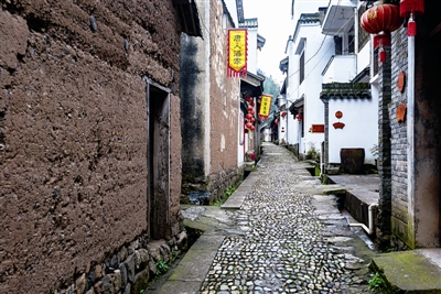 行走森林古道 穿越時(shí)光隧道