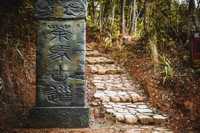 行走森林古道 穿越時(shí)光隧道