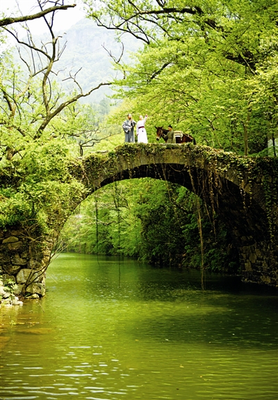 行走森林古道 穿越時(shí)光隧道
