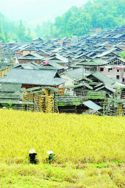 生態之美裝扮美麗中國