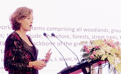 2019世界花卉大會論壇演講選登