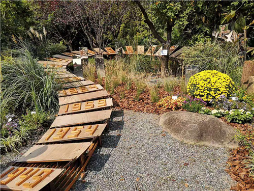 千花萬草為上海植物園化上“國慶妝”