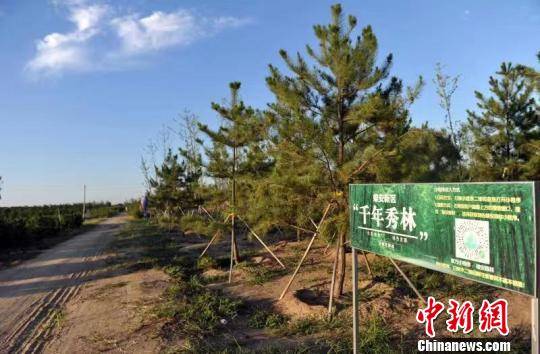 雄安：建設“未來之城”從打好藍綠本底開局