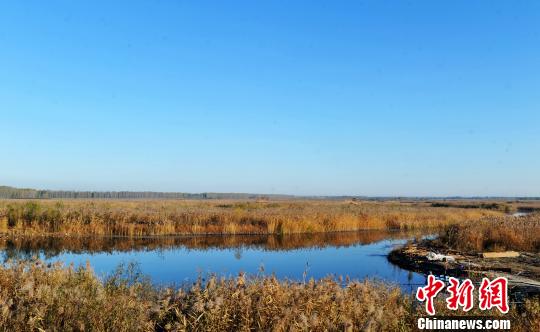 雄安：建設“未來之城”從打好藍綠本底開局