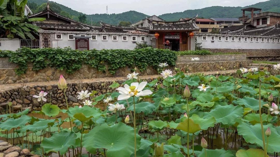 2019園冶杯專業(yè)獎丨半山村美麗鄉(xiāng)村規(guī)劃