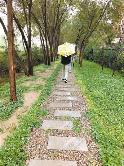 西寧：海綿化改造 讓美麗水街美起來