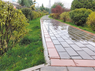 西寧：海綿化改造 讓美麗水街美起來