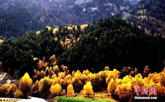 祁連山國家公園標識啟用