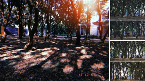 我把名字寫在了時(shí)間里丨華潤(rùn)置地 西園悅府