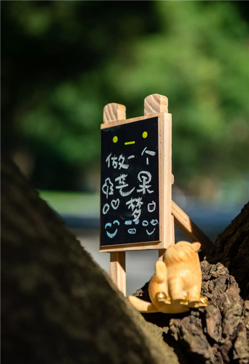 我把名字寫在了時(shí)間里丨華潤(rùn)置地 西園悅府