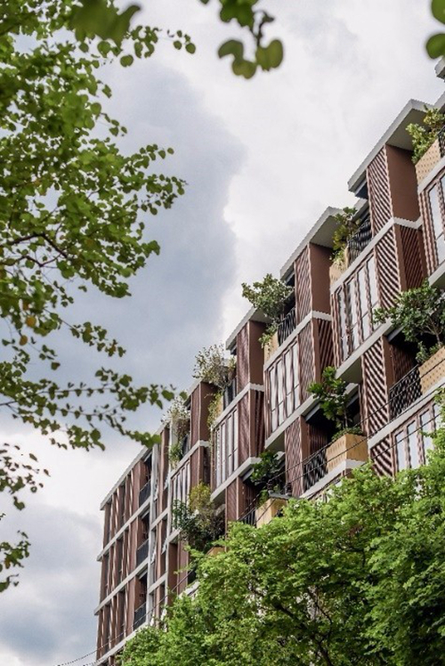 2019園冶杯專業獎丨泰國曼谷森之居