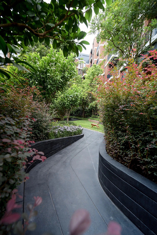 2019園冶杯專業獎丨泰國曼谷森之居