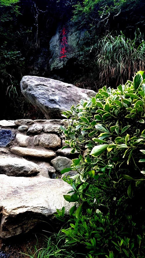 2019年園冶杯專業(yè)獎(jiǎng)|廬山桃花源景區(qū)工程