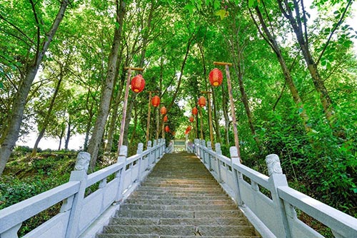 2019年園冶杯專業(yè)獎(jiǎng)|廬山桃花源景區(qū)工程