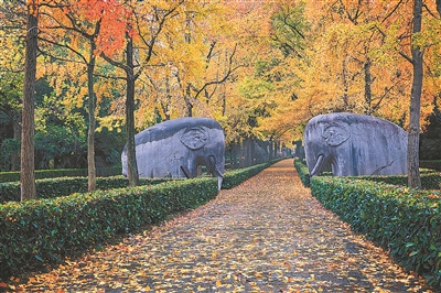 南京編制公園布局規劃：300米見綠 500米入園