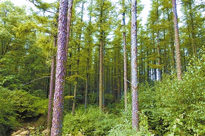 為首都構(gòu)筑生態(tài)安全屏障